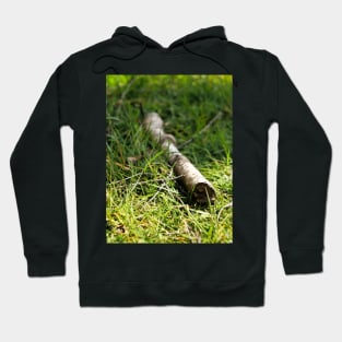 A twig - thin branch of a tree Hoodie